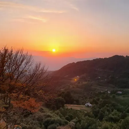 Apartament Milmari - N85 *